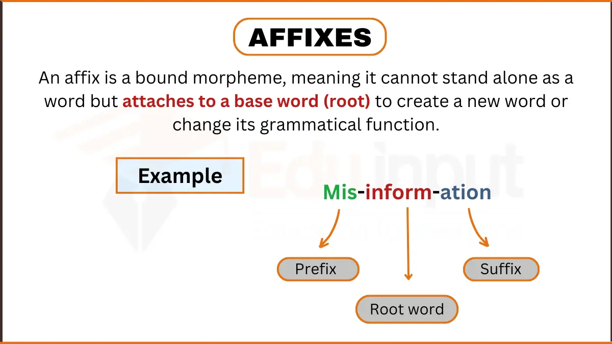 Affixes in Grammar-Definition, Types, Examples, and Usage