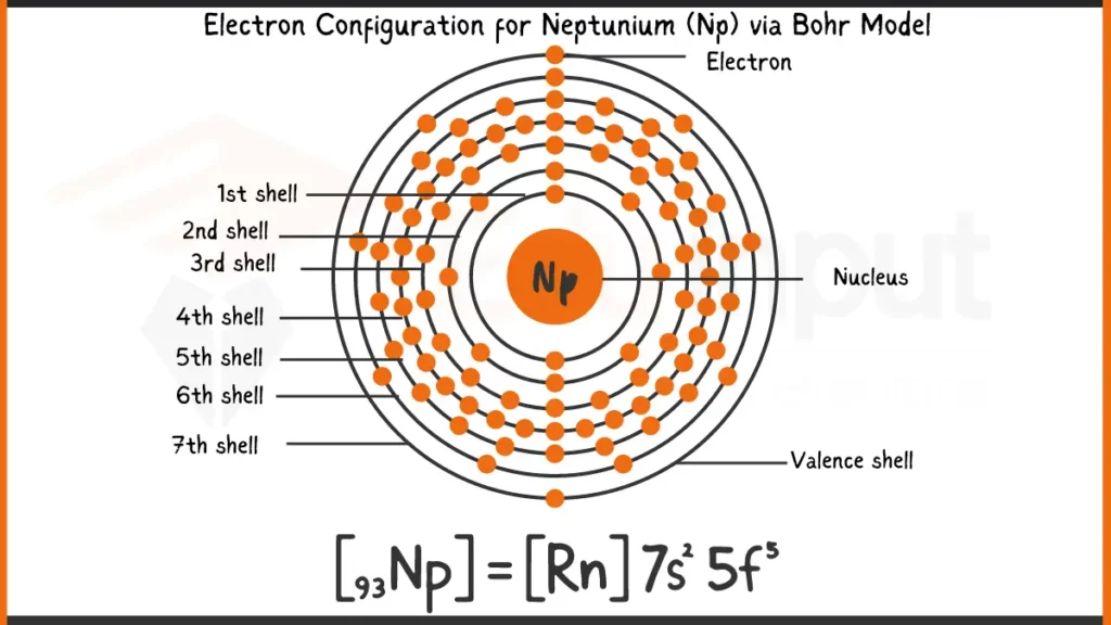 Image showing Electronic Configuration of Neptunium via Bohr Model