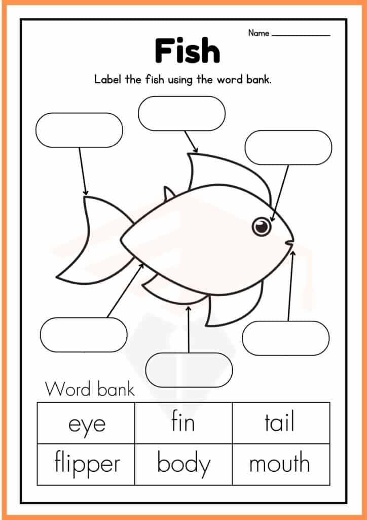 Fish Labelling Worksheet of kindergarten