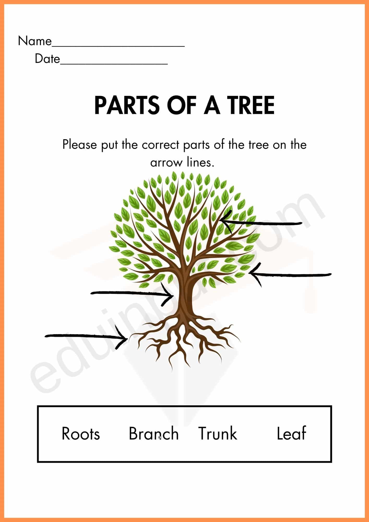 Parts of Tree Worksheets for Kindergarten