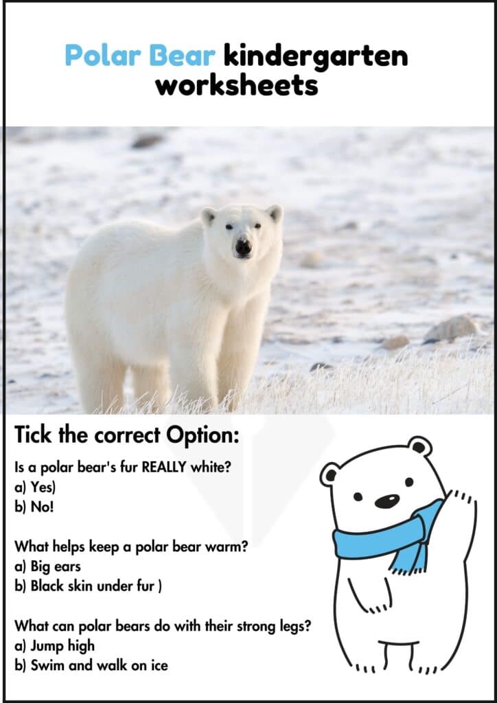 Polar Bear worksheet 2 for kindergartens
