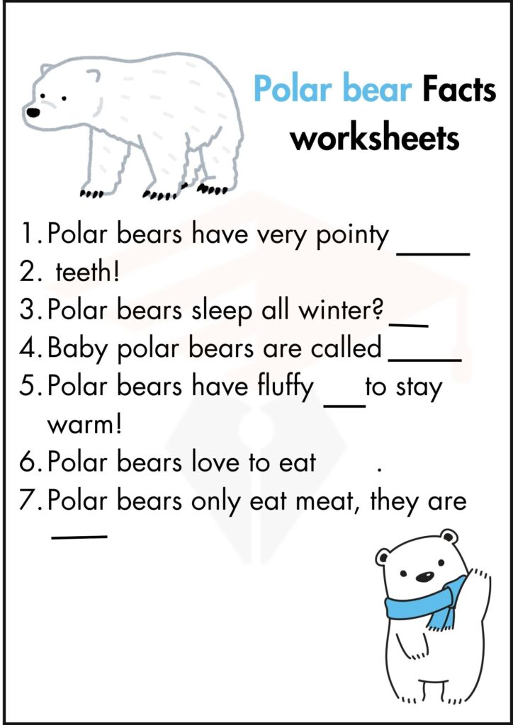 Polar Bear worksheet 3 for kindergartens