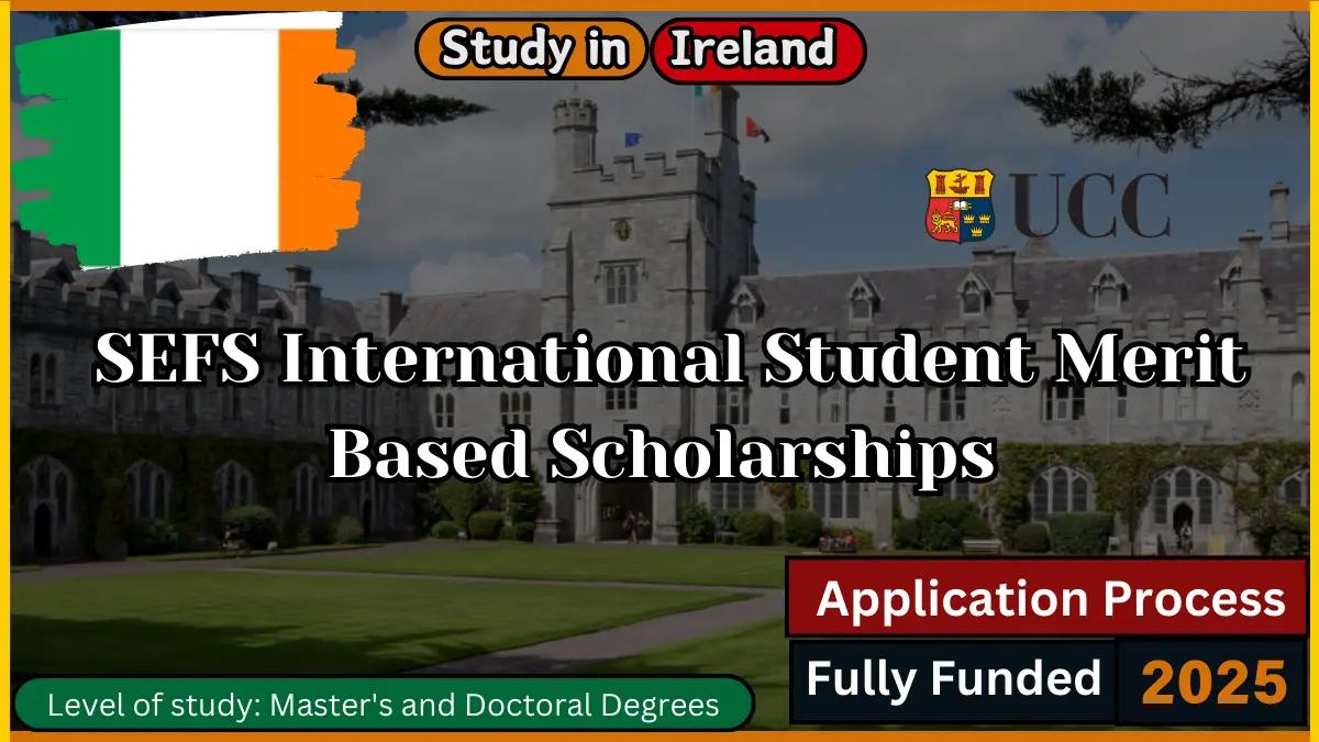 SEFS International Student Merit Based Scholarship in Ireland 2024