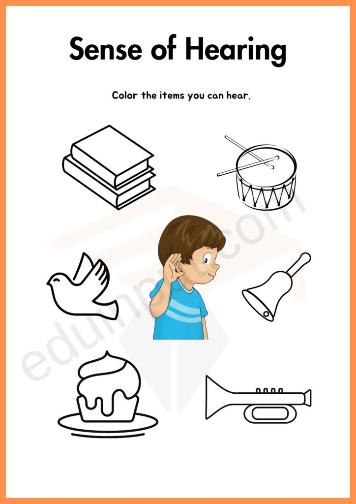 SENSE OF HEARING worksheet 3 for kindergarten