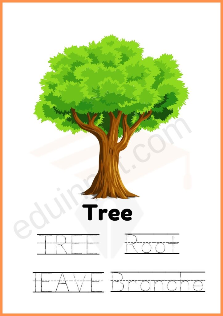 Tracing worksheet of parts of plant for kindergarten