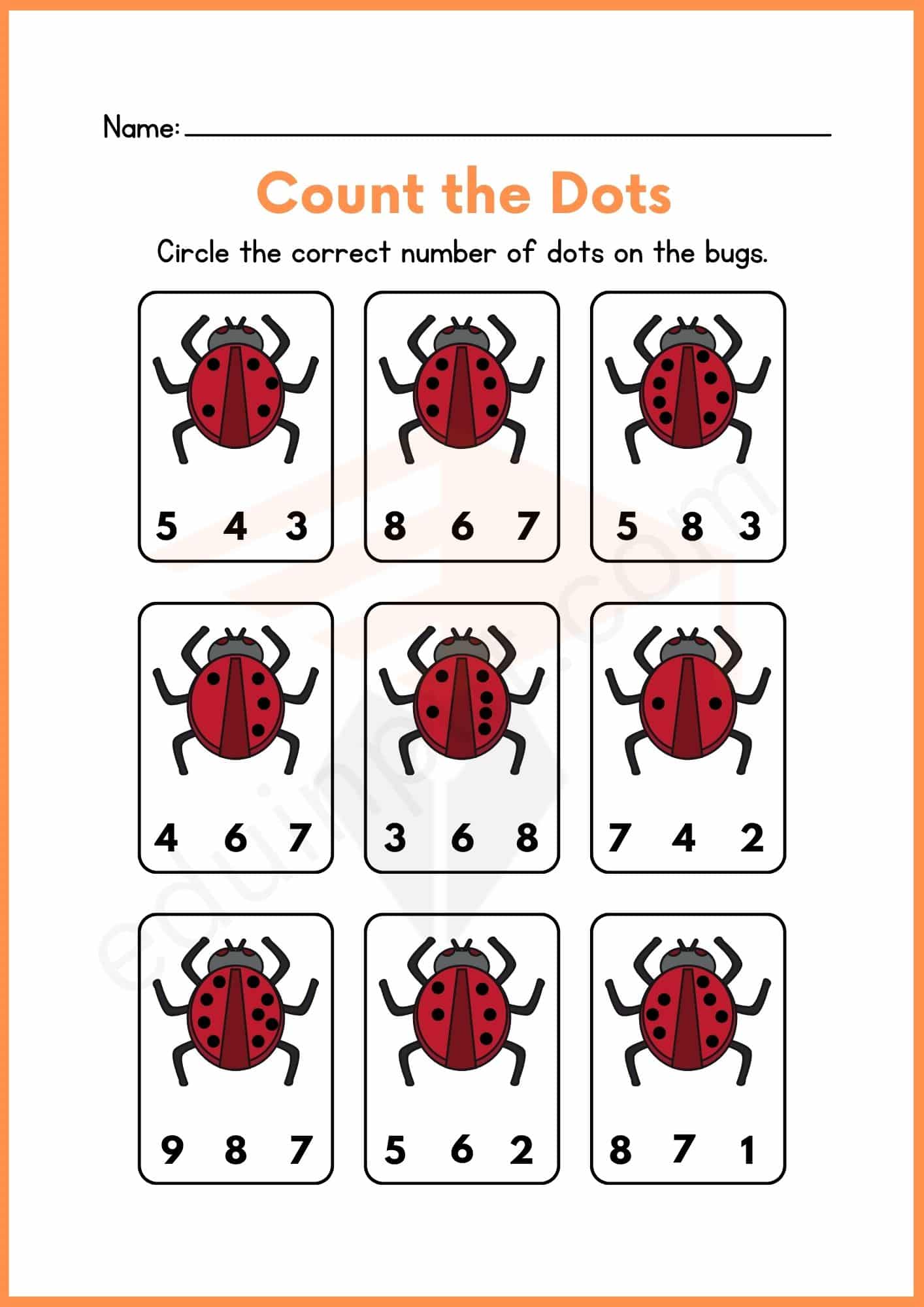 Insects Activity Worksheets for Kindergarten