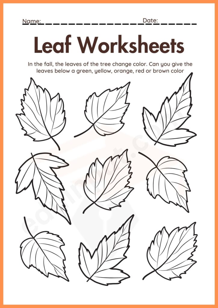 Coloring worksheet of leaves for kindergarten