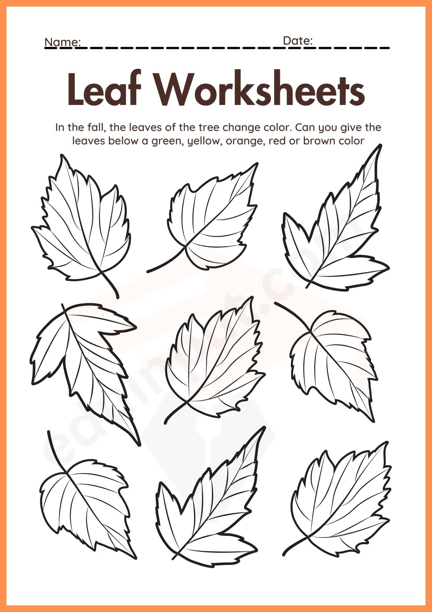 Leaf Worksheets for Kindergarten
