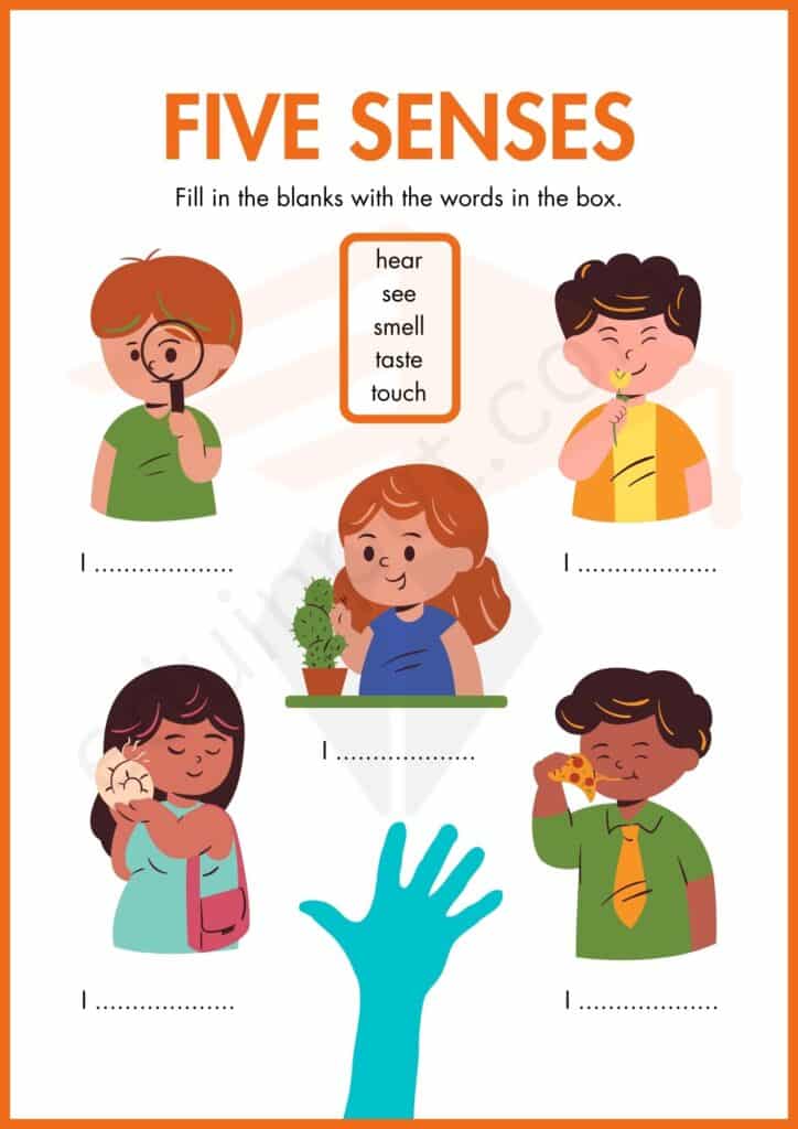 Fill in the blank worksheet of five senses for kindergarten
