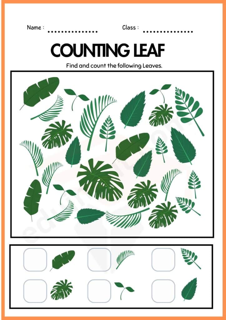 Find and count worksheet of Leaves for kindergarten