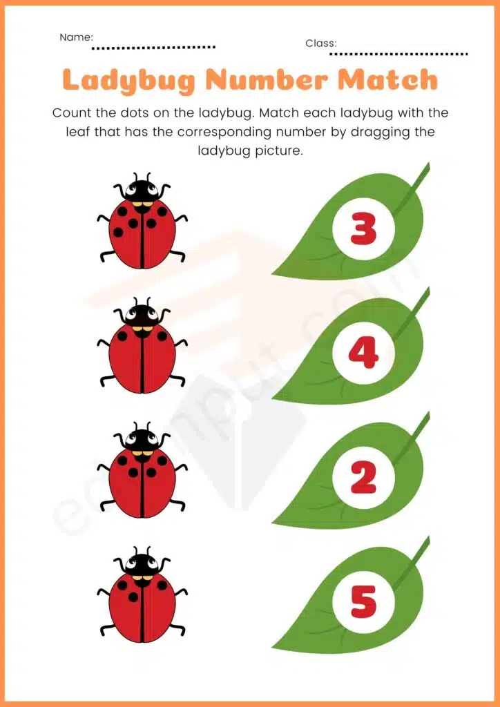 Matching worksheet of insect activity for kindergarten