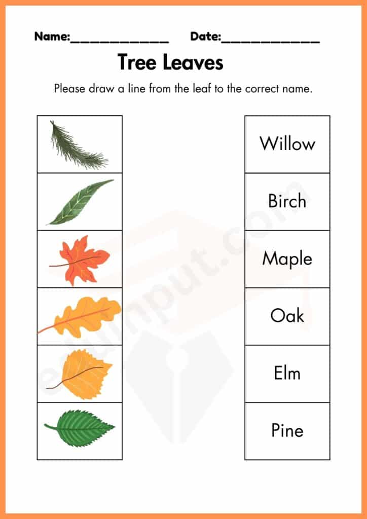 Matching worksheet of leaves for kindergarten