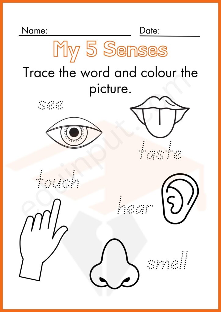 Tracing and coloring worksheet of five senses for kindergarten
