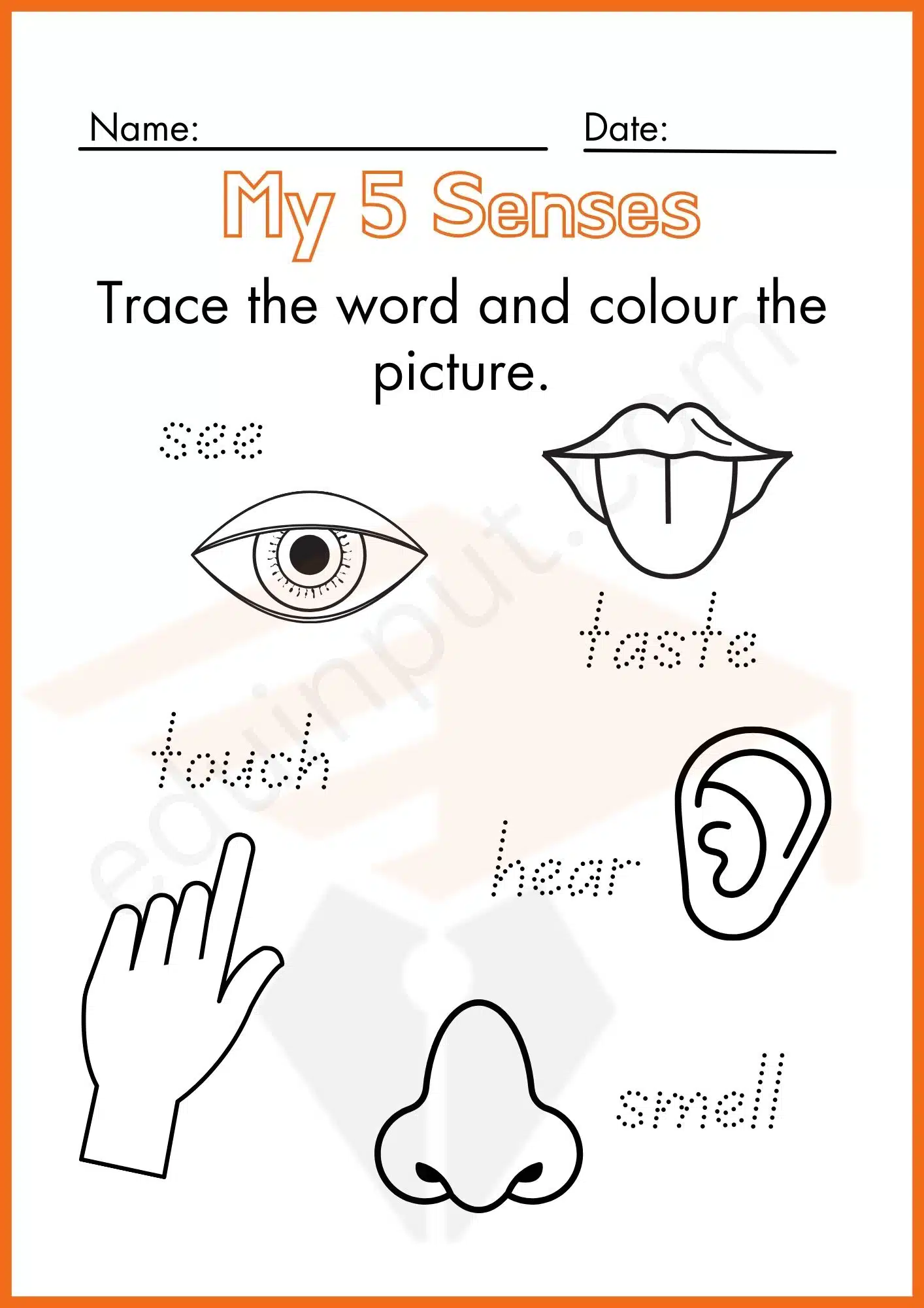 Five Senses Worksheets for Kindergarten