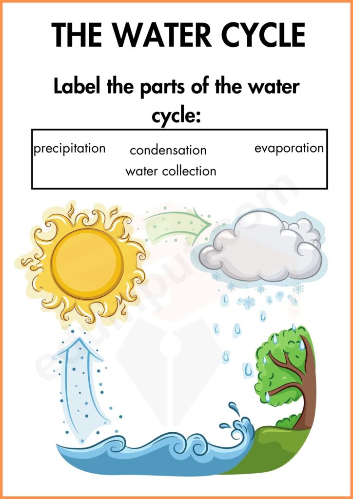 Water cycle worksheet for kindergarten