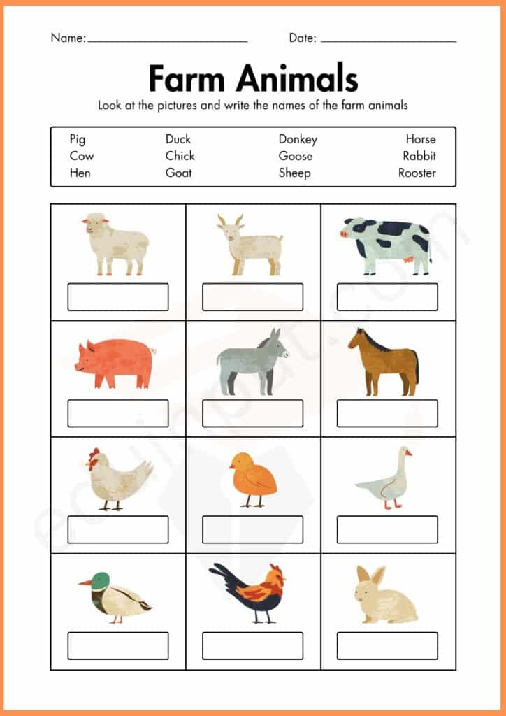 Write the name of farm animals worksheets 
