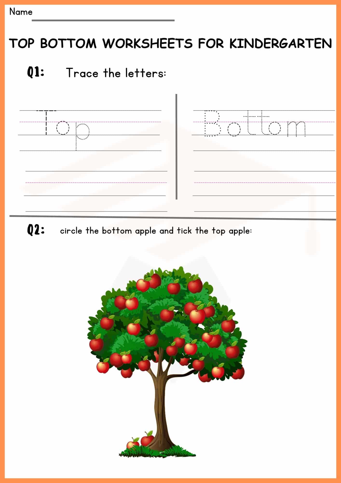 Top and Bottom worksheets for kindergarten