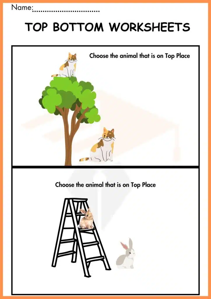 choose the animal top and bottom worksheets 4
