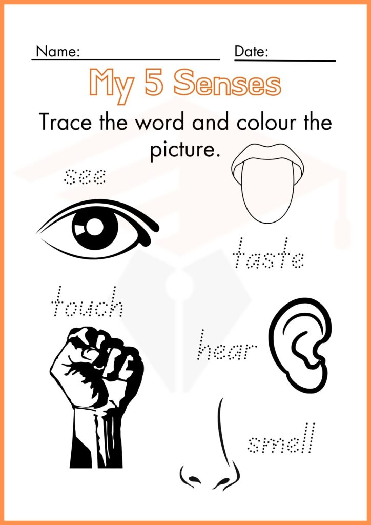 color and trace science worksheets 1