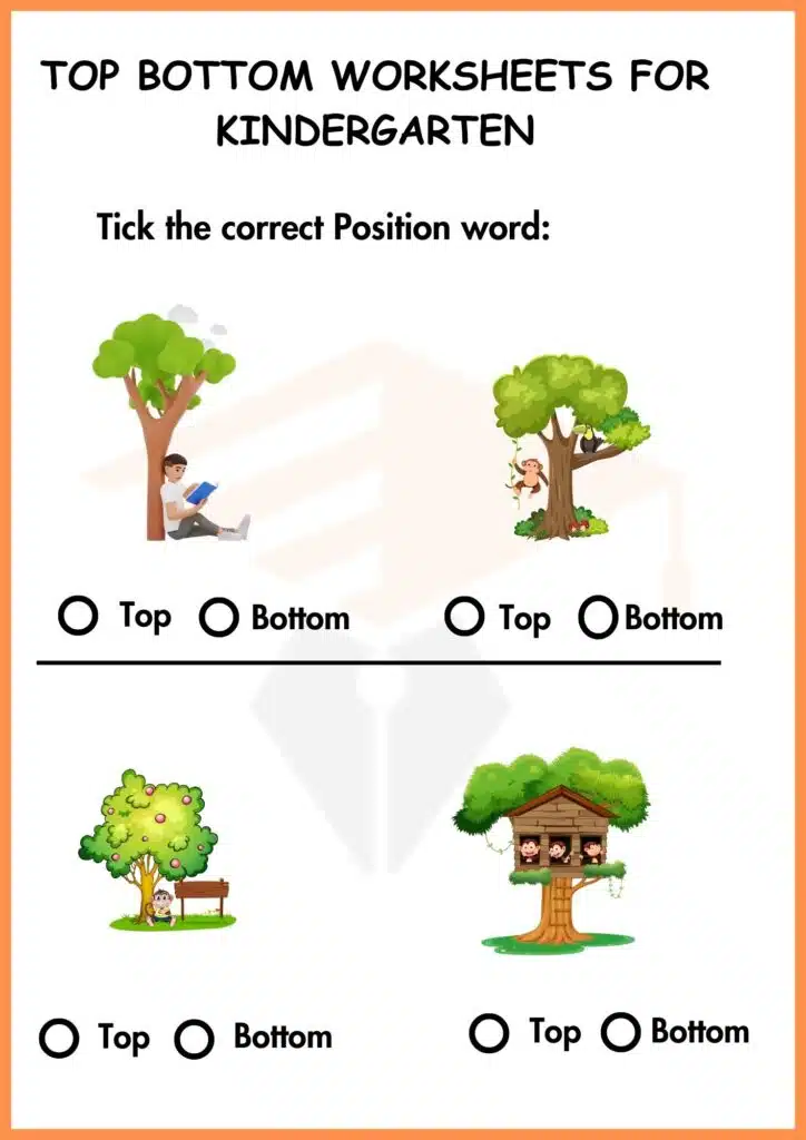tick the correct postion word top and bottom worksheets 3