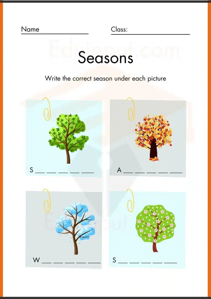 seasons worksheet 5