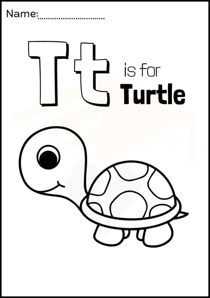 trace and color the turtle worksheets 3