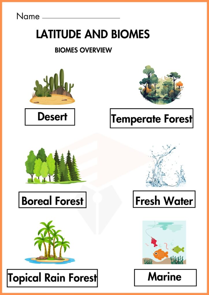 Biomes overview Latitude and Biomes worksheet