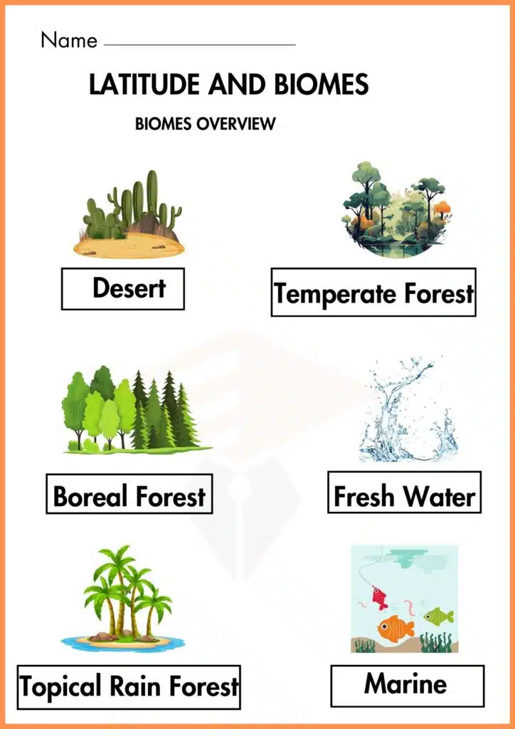 Biomes overview Latitude and Biomes worksheet