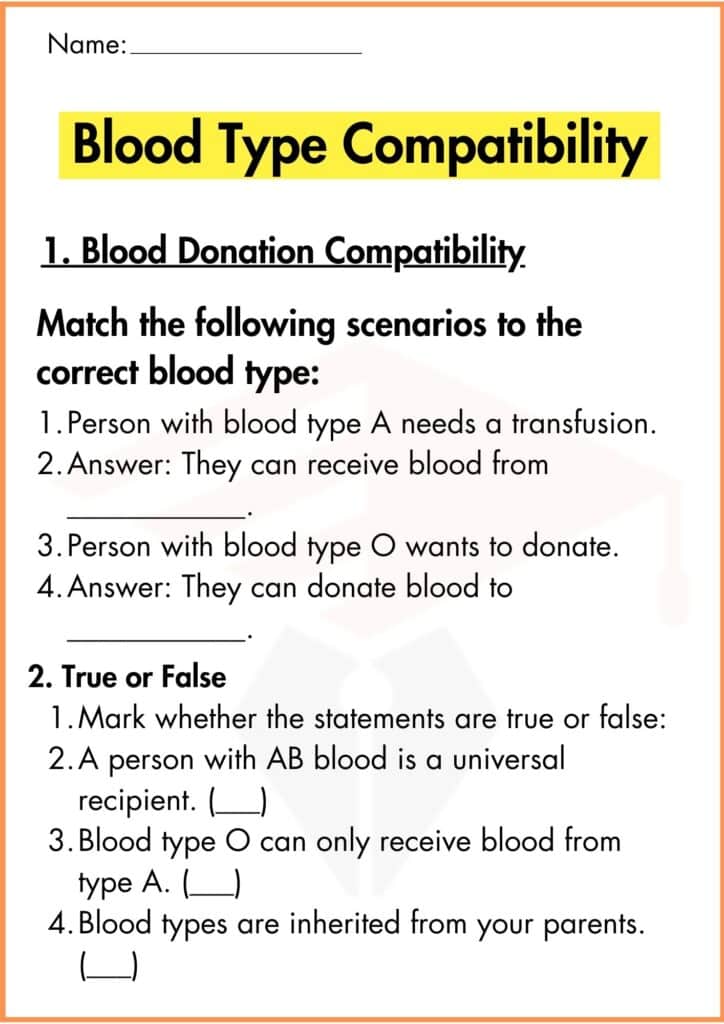image showing Blood Type Compatibility worksheet