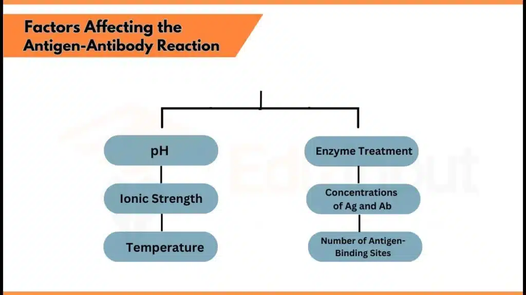 Factors Affecting the Antigen Antibody Reaction image