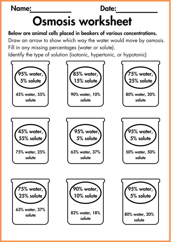 image shows osmosis worksheet