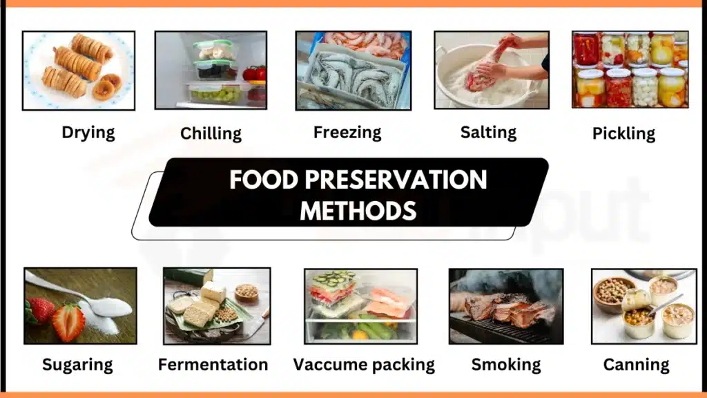 Image showing Common methods of food preservation