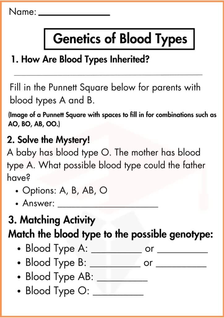 image showing Genetics of Blood Types worksheet