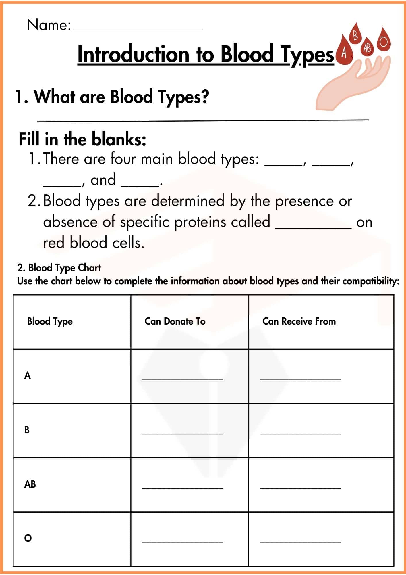 Blood Types Worksheet
