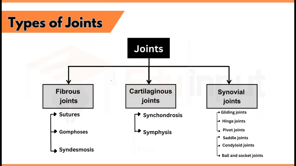 Types of joints Image