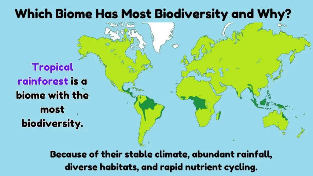 image showing Which Biome Has Most Biodiversity and Why?