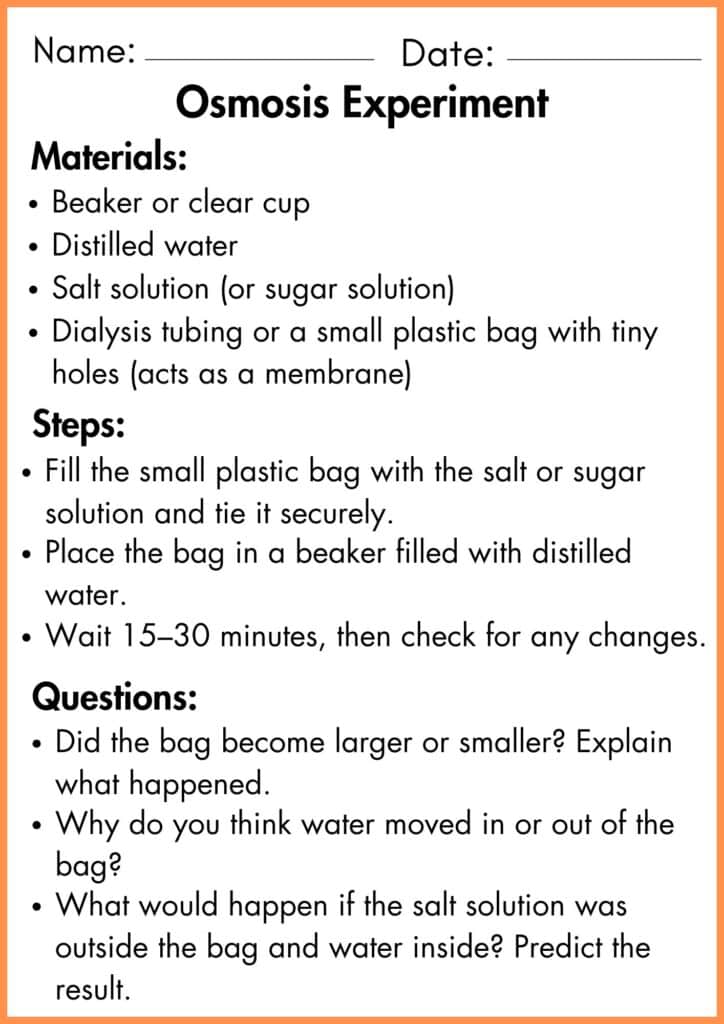 image showing Osmosis experiment worksheet