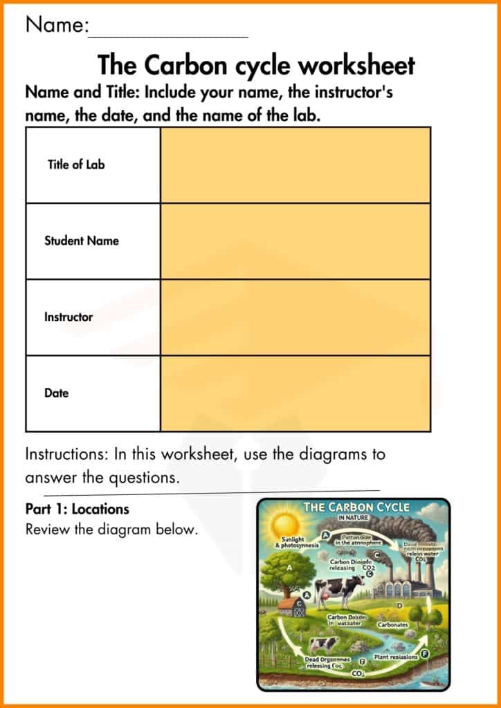 image showing and answer the question carbon cycle worksheet