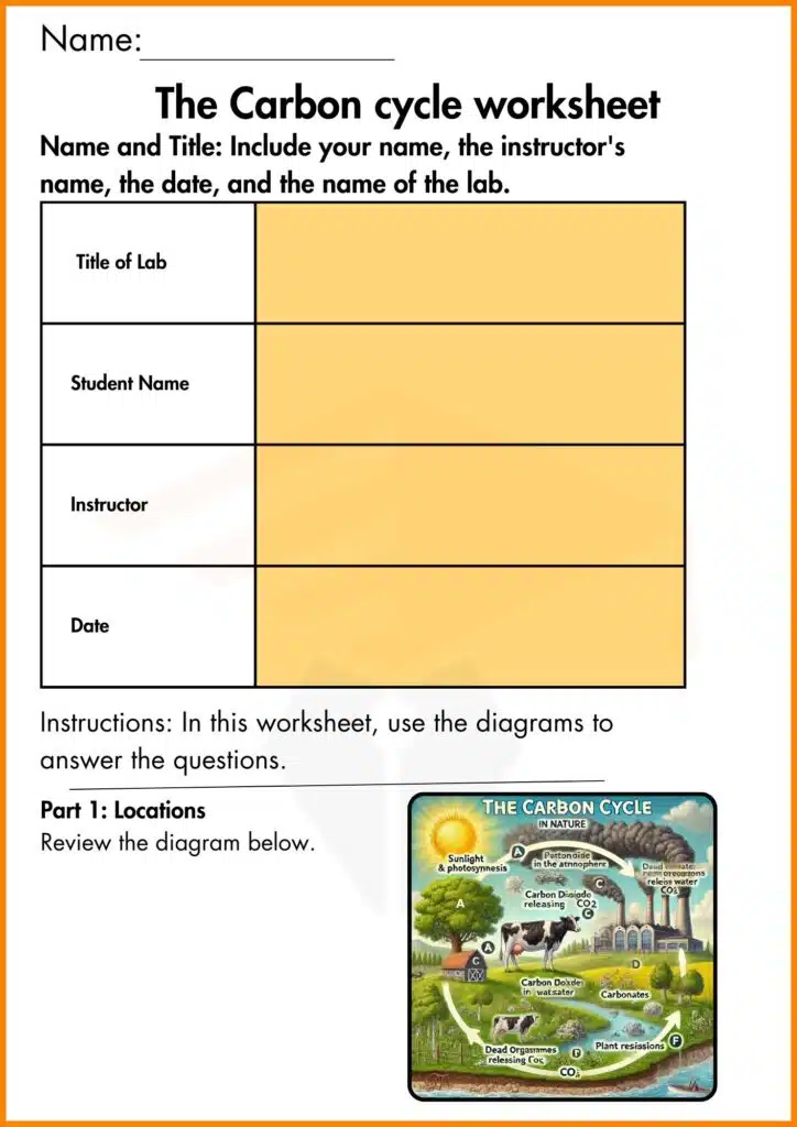 image showing and answer the question carbon cycle worksheet