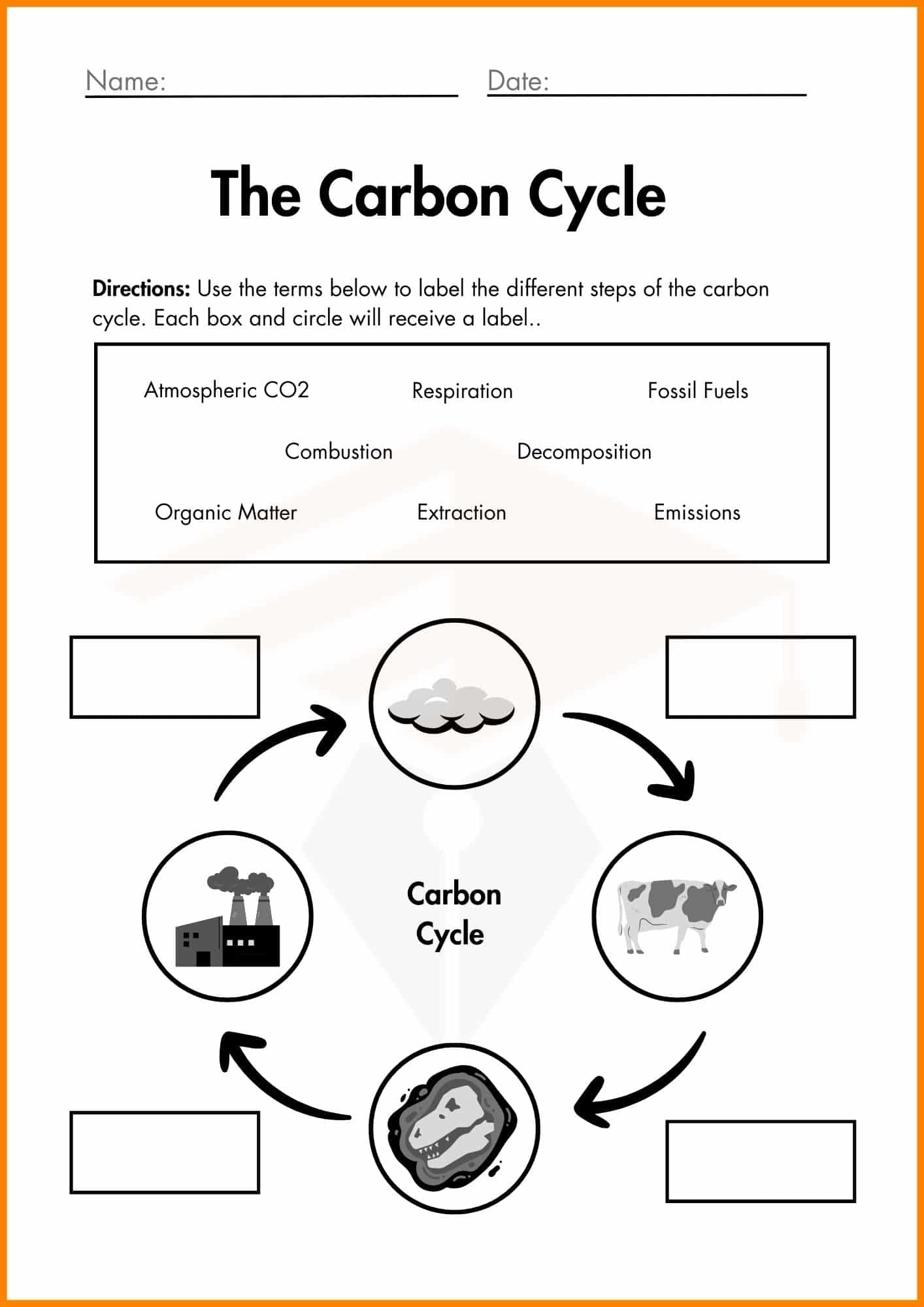 The Carbon Cycle Worksheet