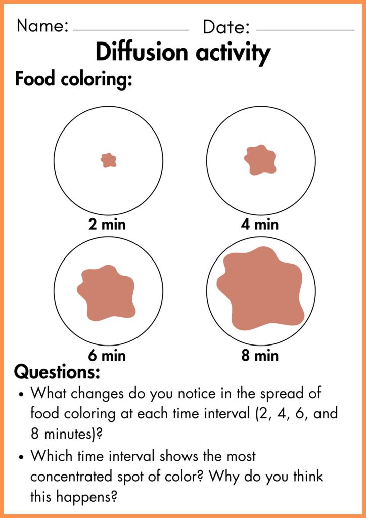 image showing Diffusion activity worksheet
