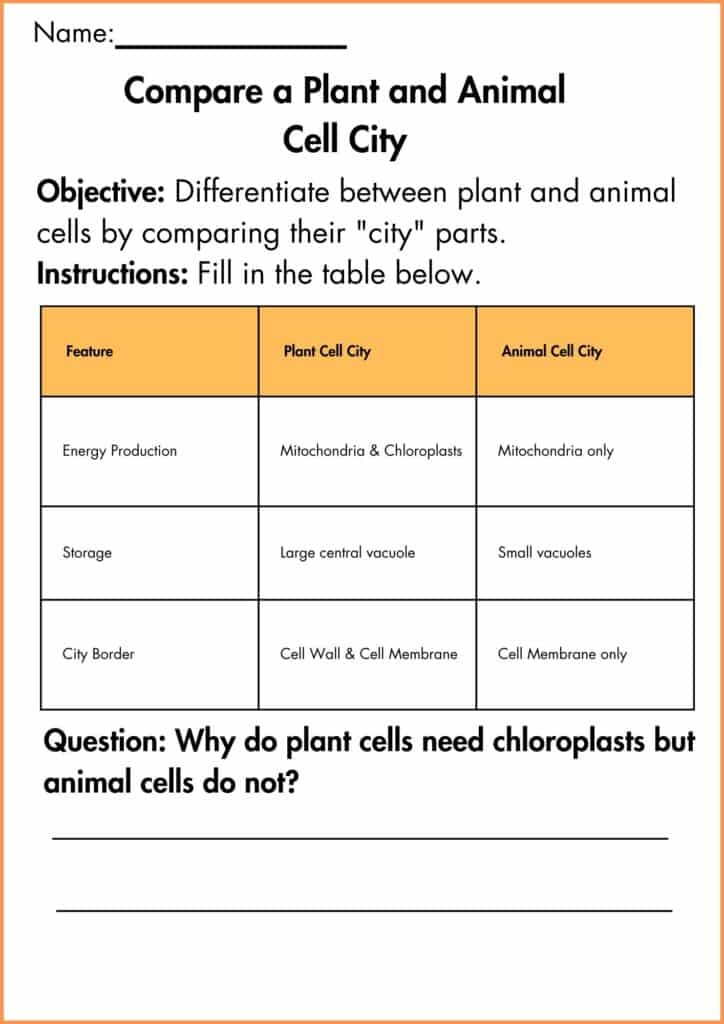 image showing Compare a Plant and Animal Cell City worksheet 