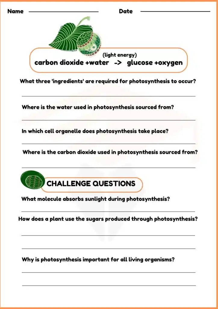 image showing carbon dioxide +water   -_   glucose +oxygen worksheet