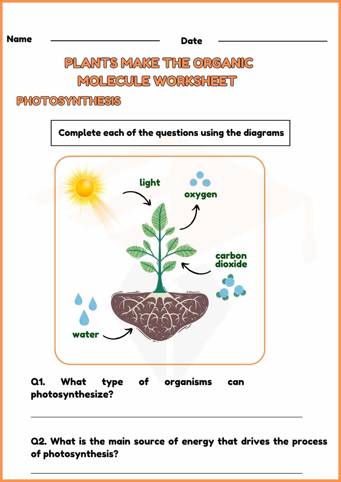 Photosynthesis Worksheet