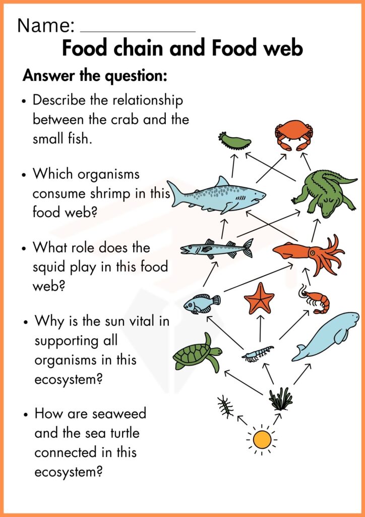 Image showing food chain and food web worksheets