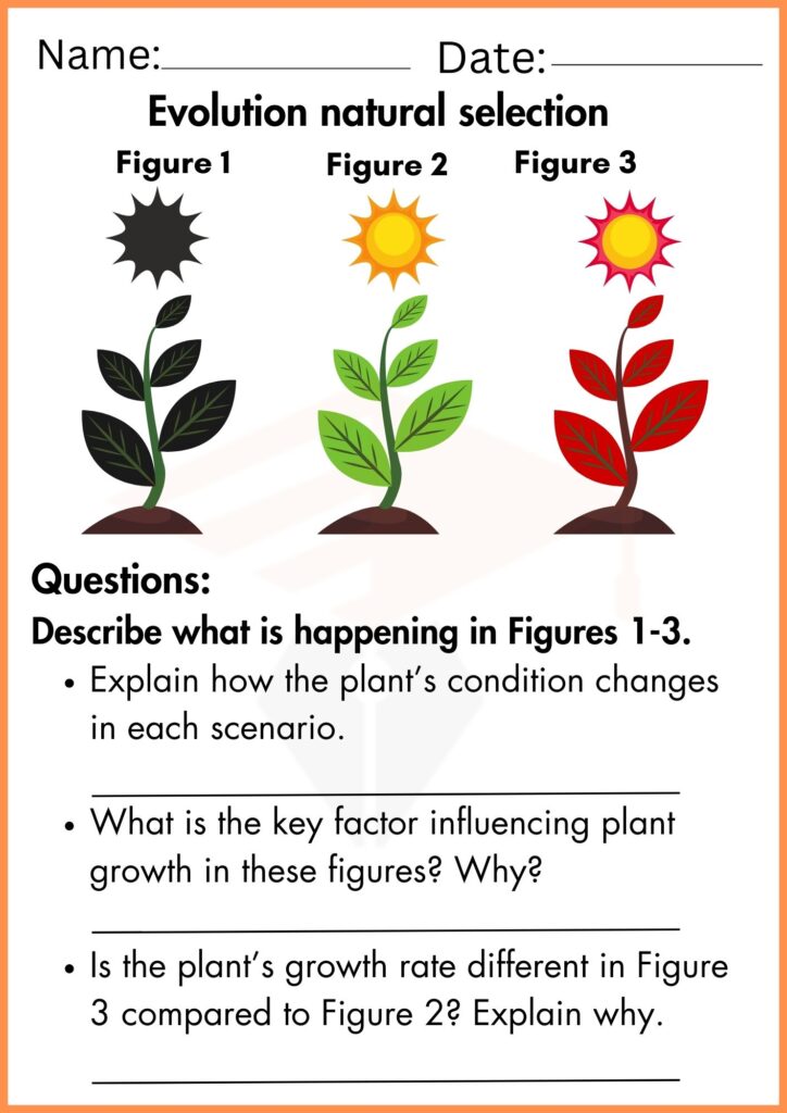 Image showing Evolution natural selection worksheets