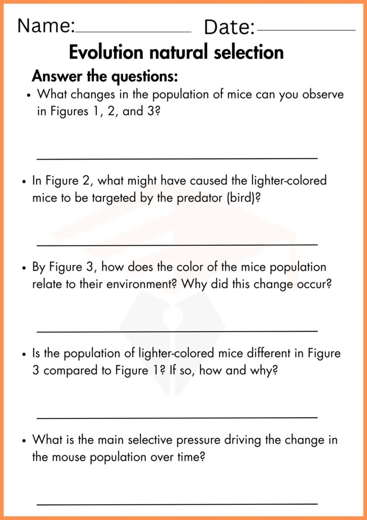 Image showing Evolution natural selection worksheets