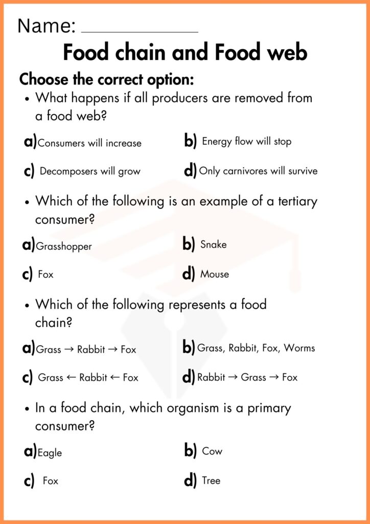 Image showing food chain and food web worksheets