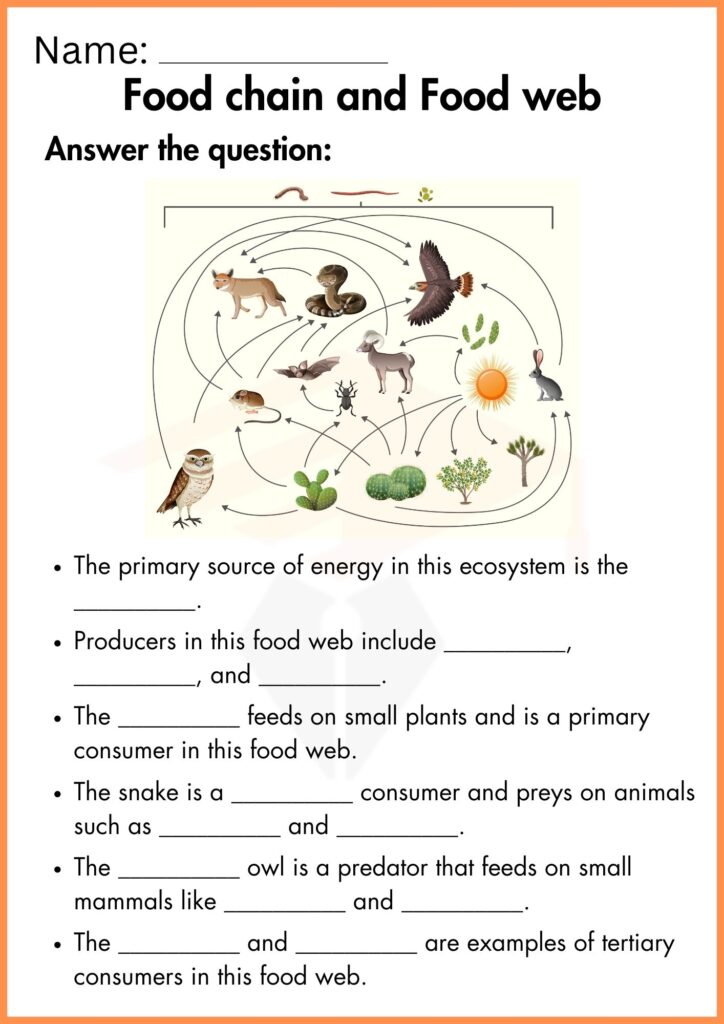 Image showing food chain and food web worksheets