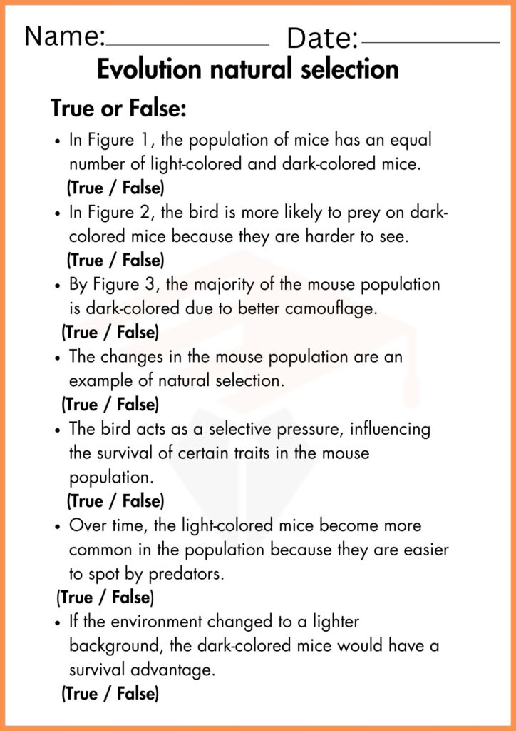 Image showing Evolution natural selection worksheets